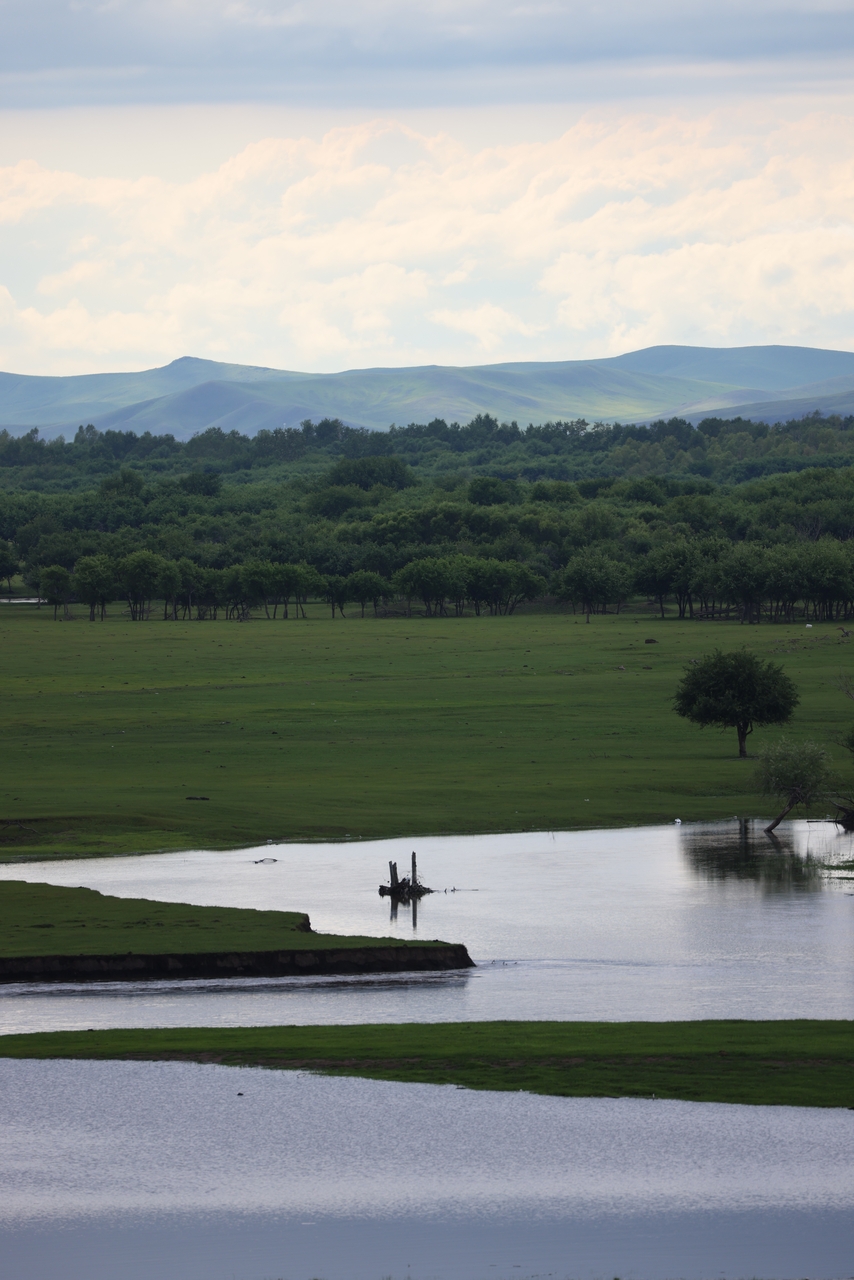 20 films with major plot twists viewers never saw coming