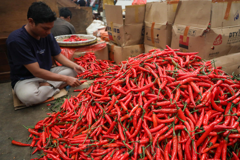 Pedagang Pasar Induk Kramata Jati: Harga Cabai Naik-Turun Jelang Nataru 2205