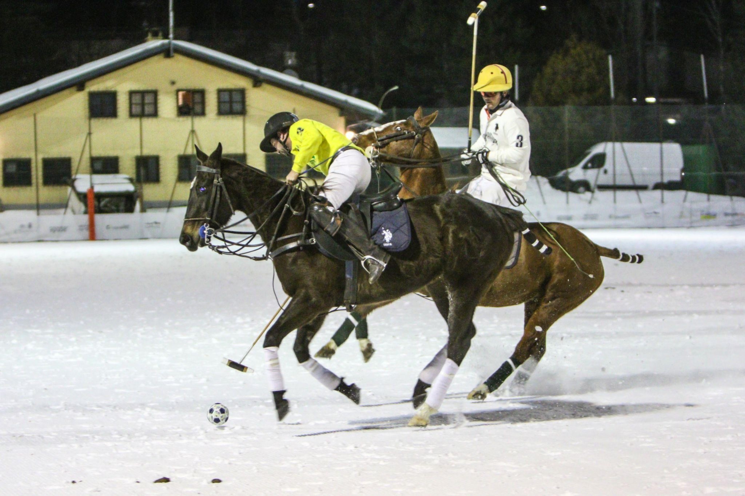 Polo Équitation Chevaux Pie dans la Neige – Cadeau Cavaliers