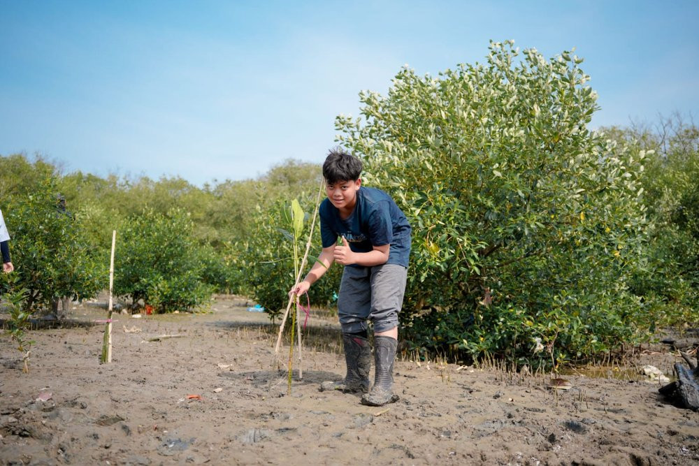 Hebat! Siswa SMP Surabaya Tanam Ribu Mangrove Cegah Abrasi