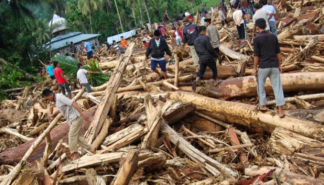 Legislator PKB Minta Sanksi Pidana untuk Perusahaan Penyebab Banjir Sumatera