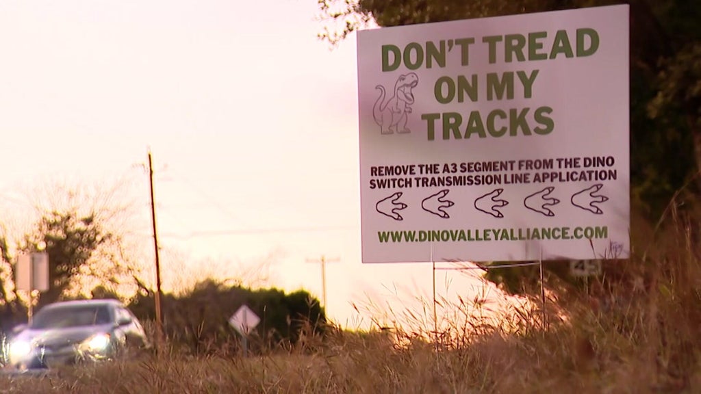 Power line project looms over world-famous dinosaur tracks in Texas ...
