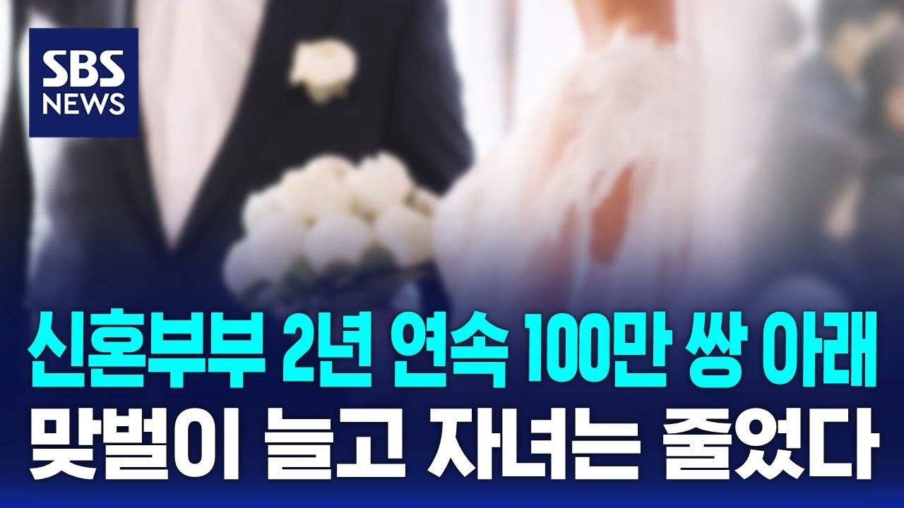 신혼부부 2년 연속 100만 쌍 아래… 맞벌이↑자녀↓ / SBS