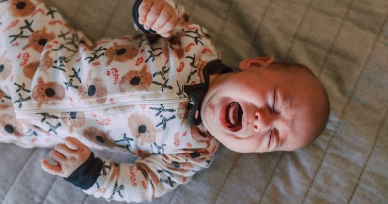 9 Tanda Bayi Tidak Cocok Susu Formula, Orang Tua Wajib Tahu!