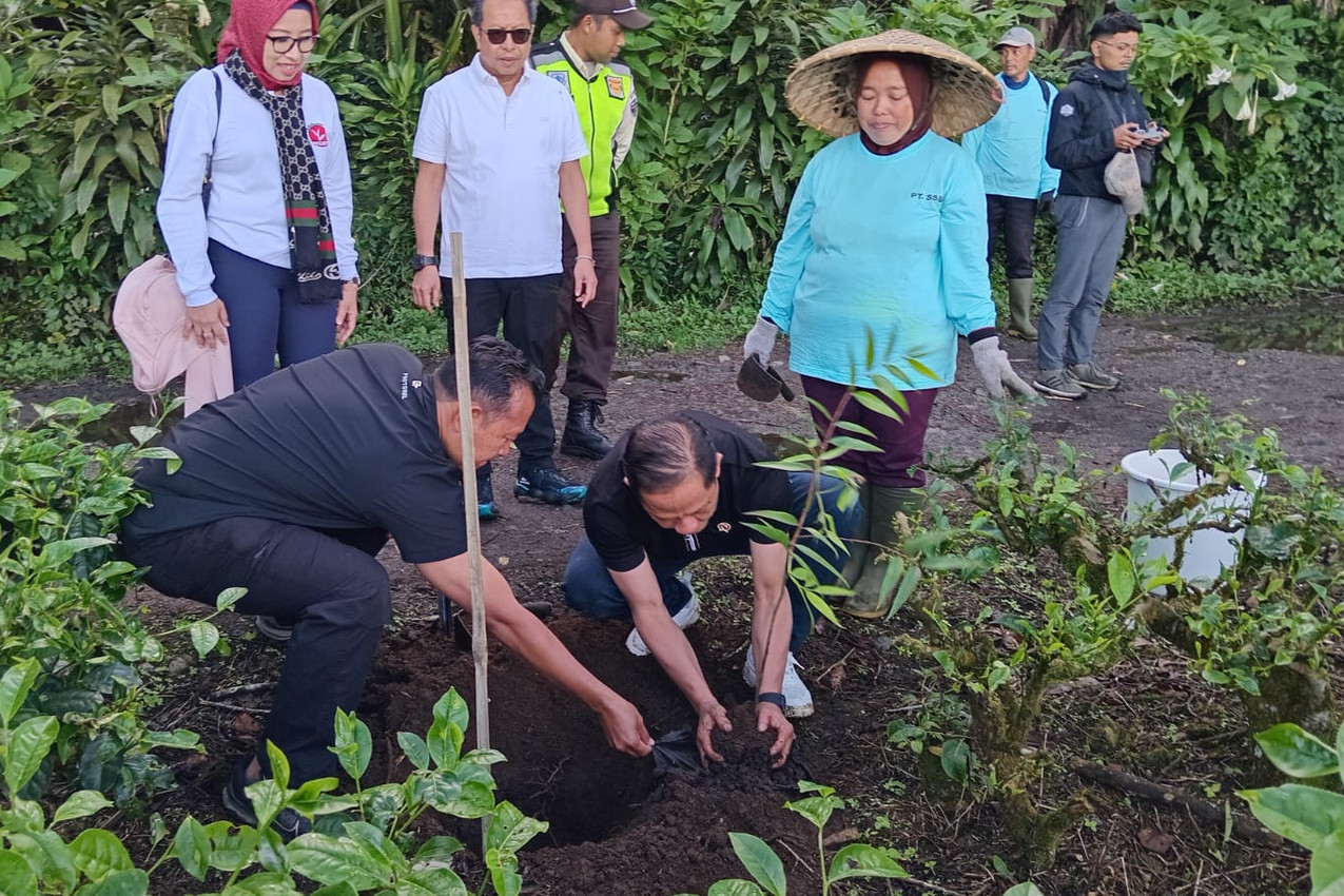 Menteri LH Hanif Faisol Perkuat Konservasi Hulu DAS Ciliwung dengan Ribuan Pohon