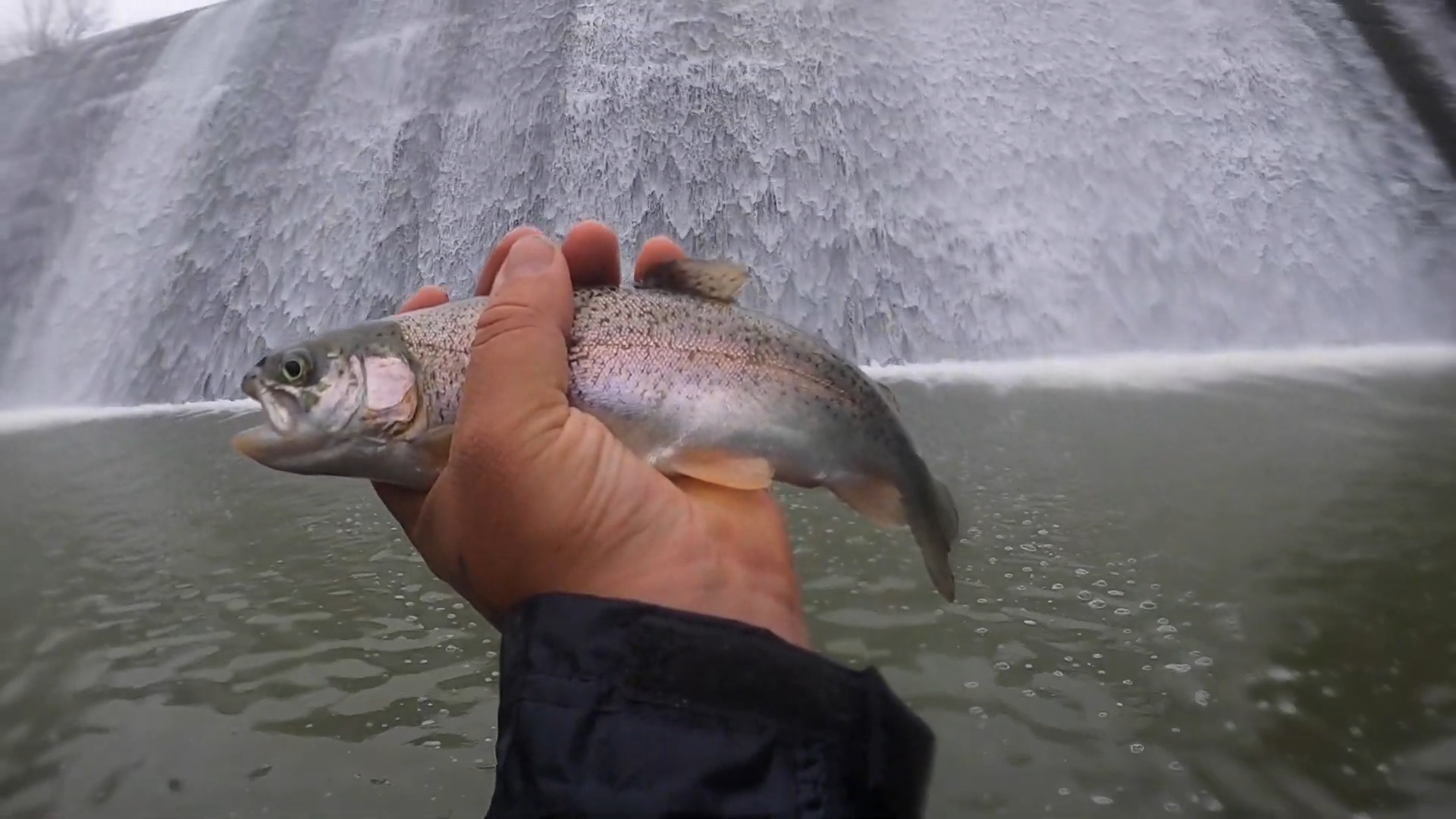 Battling feisty trout in raging spillway waters