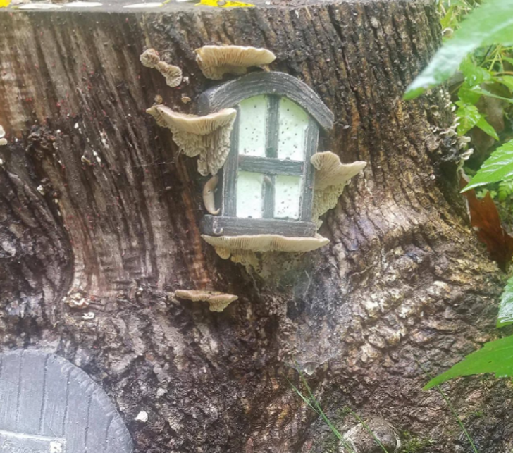 15 coincidences that seem far too precise to be pure chance