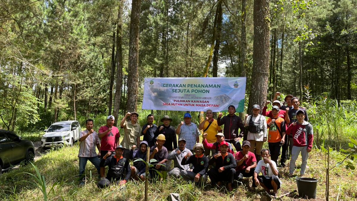 Satu Juta Pohon Ditanam Kembali di Taman Nasional Gunung Merapi, Dukungan Warga Srumbung dan Dukun
