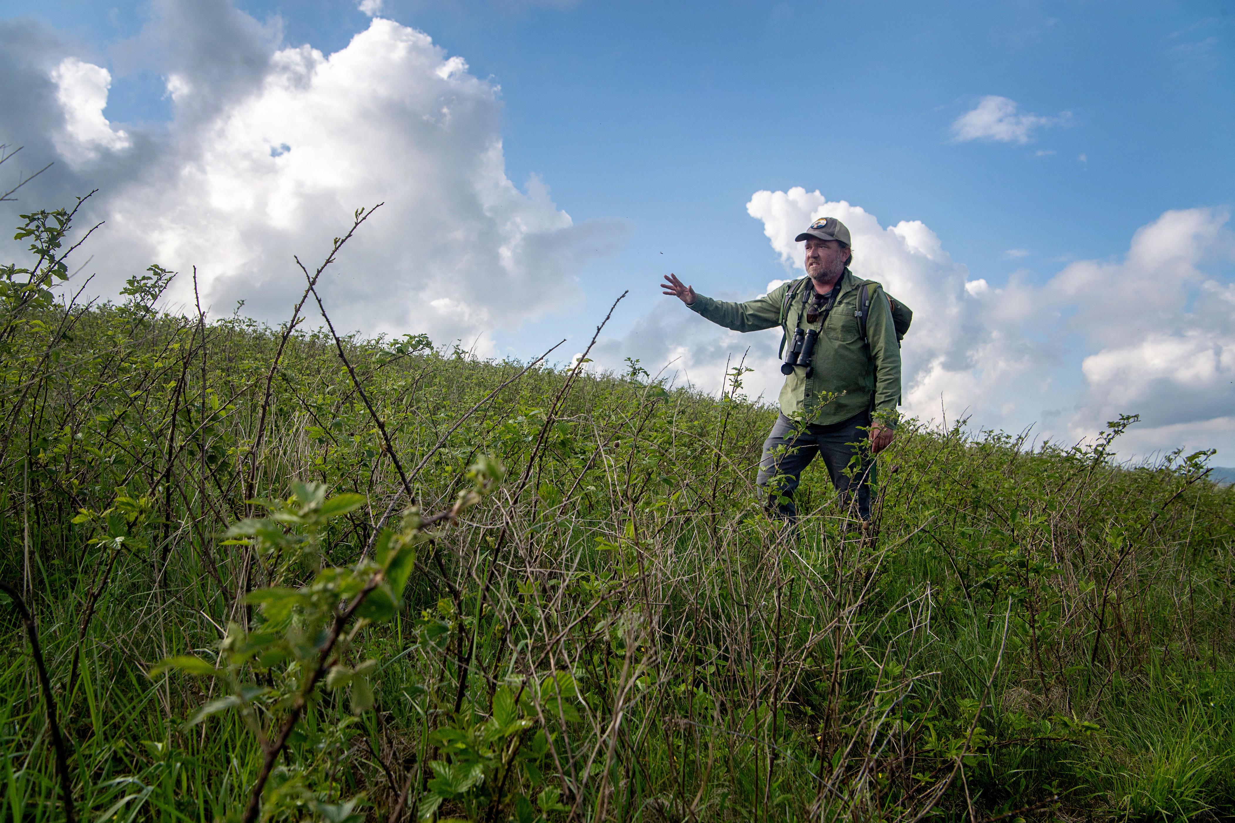 Appalachian Trail Conservancy announces grant awards for conservation