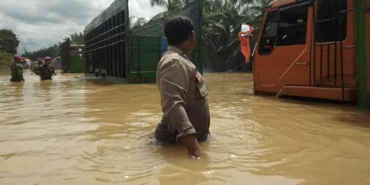 Banjir Tamiang, Cerita yang Terpotong