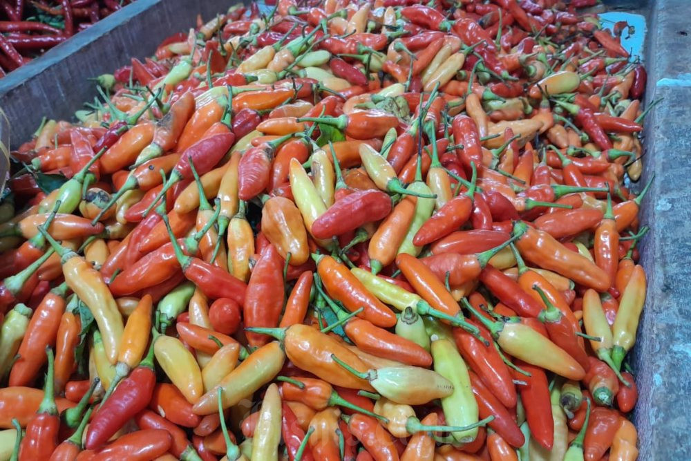 Wali Kota Semarang Awasi Kenaikan Harga Cabai