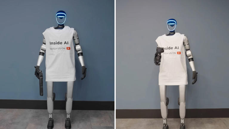 Image 3 for YouTuber sued for actions involving humanoid robot