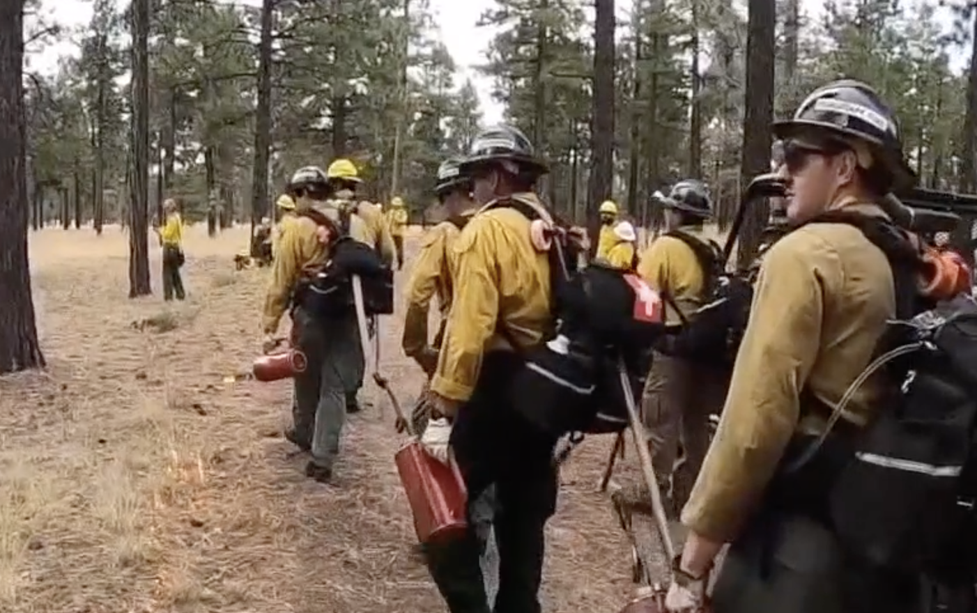 Senators raise alarm over steep drop in wildfire prevention work