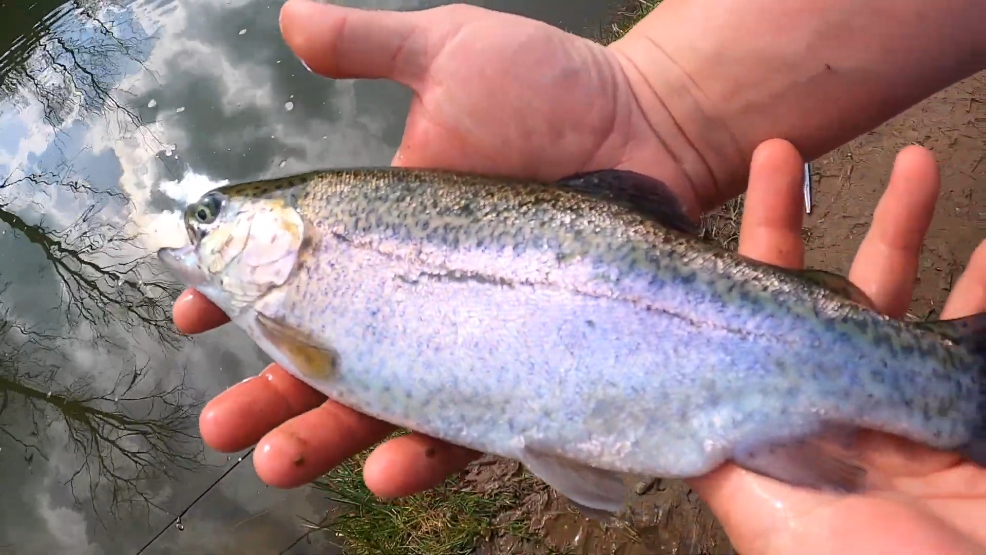 Fishing a raging spillway for rainbow trout