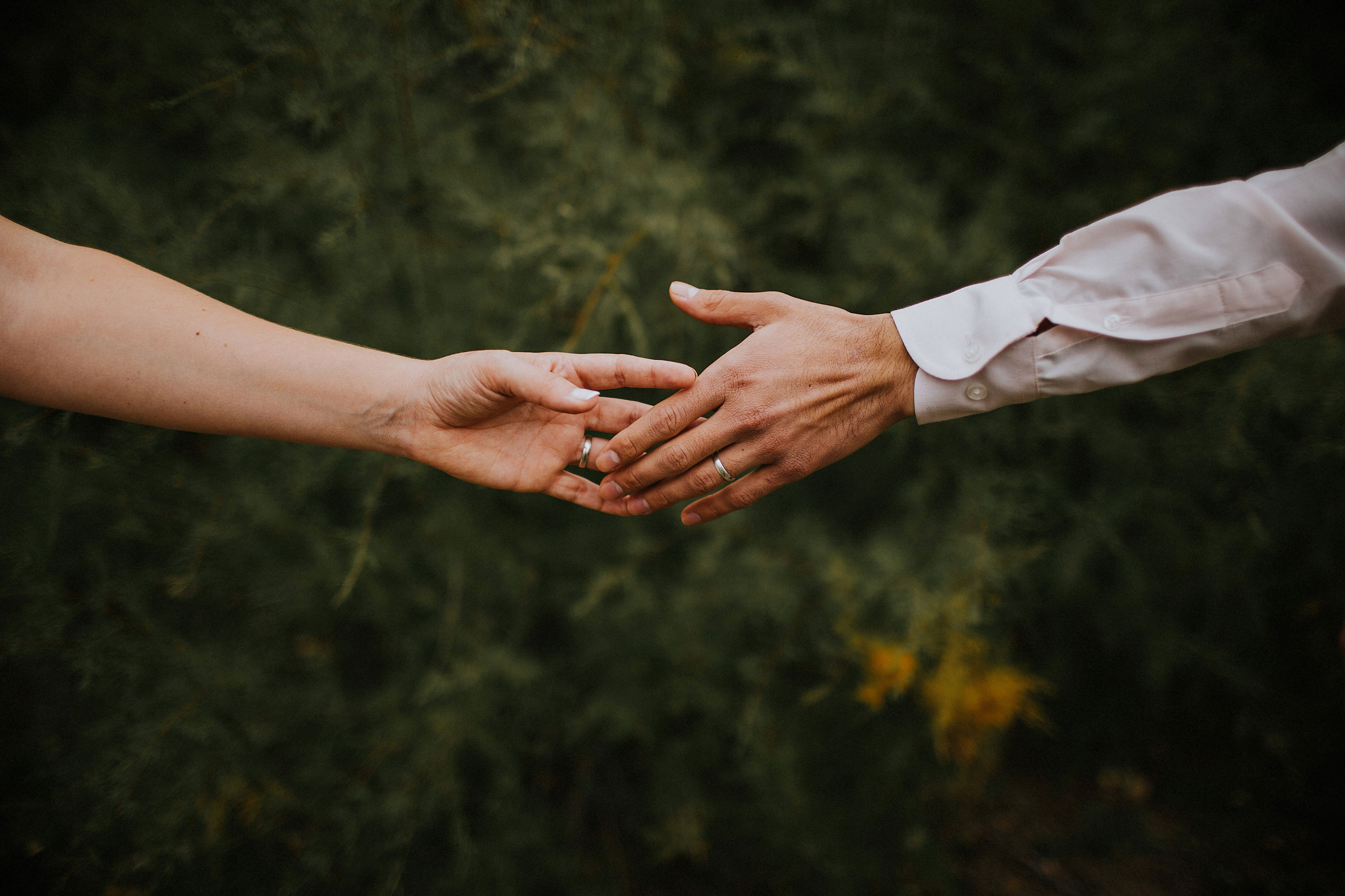 Two hands reaching toward each other with fingers almost touching, set against a nature background