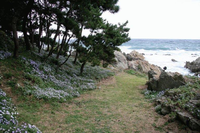 Jeong Young-sun's touch defines Korea's beloved landscapes