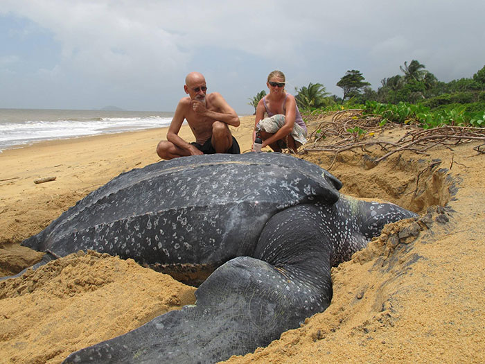 46 Photos To Remind Everyone That Many Animals Are Way Bigger Than Most Of Us Think