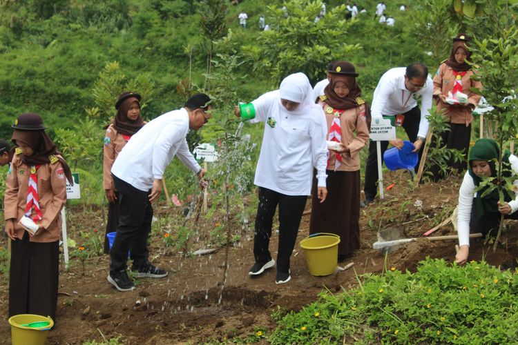 Khofifah Ajak Warga Jatim Tanam Pohon Setiap Ulang Tahun