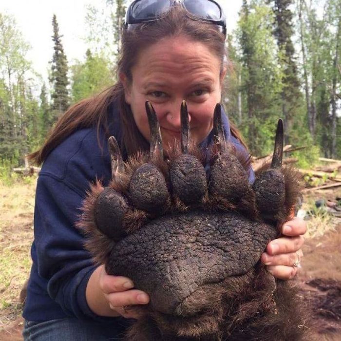 46 Photos To Remind Everyone That Many Animals Are Way Bigger Than Most Of Us Think