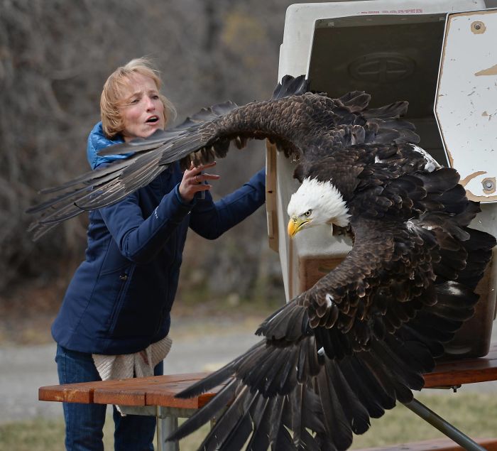 46 Photos To Remind Everyone That Many Animals Are Way Bigger Than Most Of Us Think