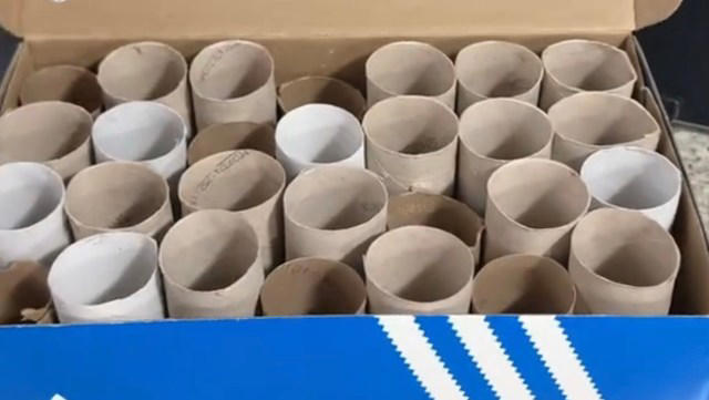 Pet owner demonstrates brilliant hack using old paper towel tubes ...