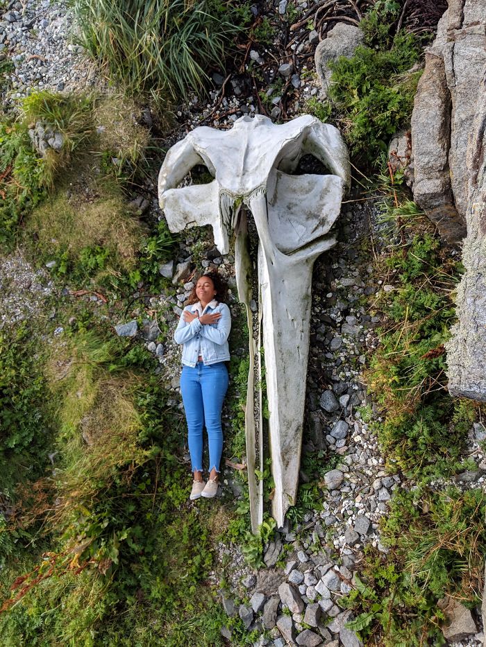 46 Photos To Remind Everyone That Many Animals Are Way Bigger Than Most Of Us Think