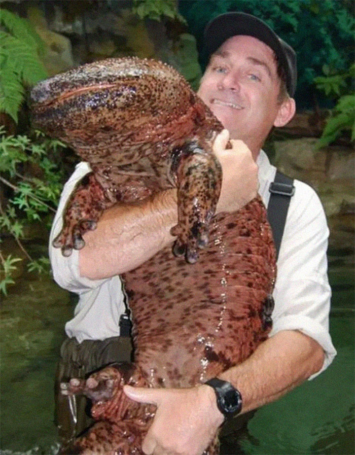 46 Photos To Remind Everyone That Many Animals Are Way Bigger Than Most Of Us Think