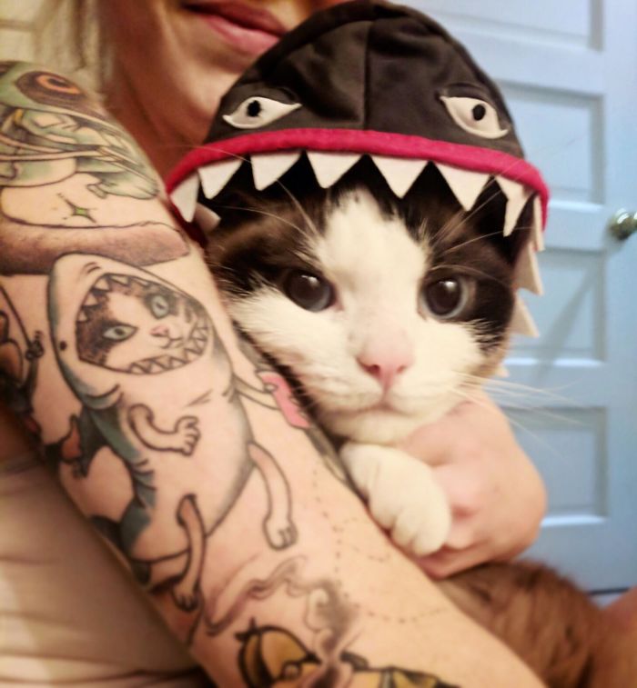 33 People Who Got Absolutely Awesome Cat Tattoos