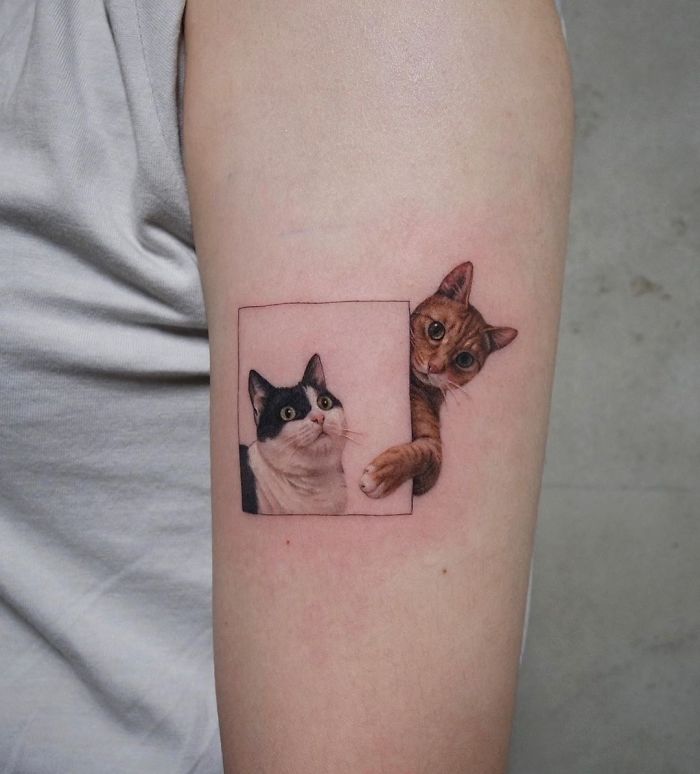 33 People Who Got Absolutely Awesome Cat Tattoos