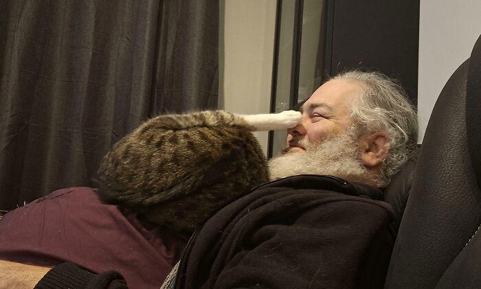 43 cats that look like they’re questioning everything in the universe
