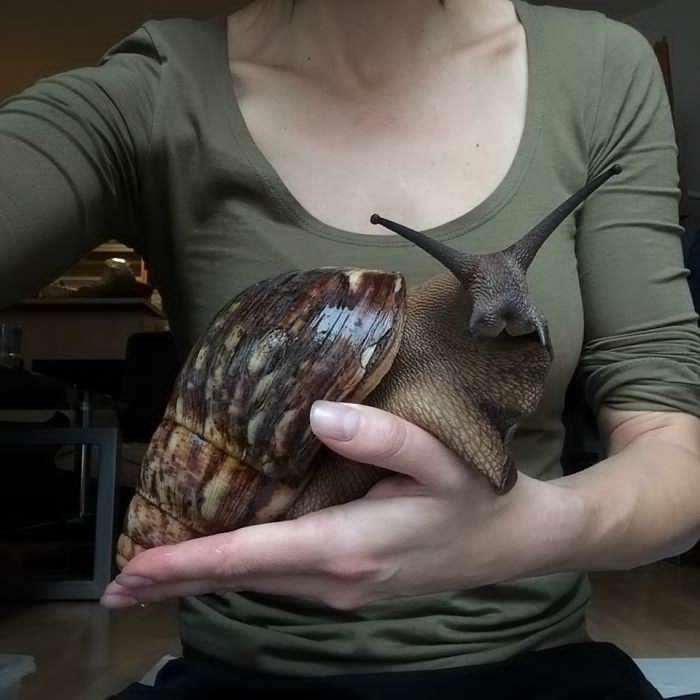 46 Photos To Remind Everyone That Many Animals Are Way Bigger Than Most Of Us Think