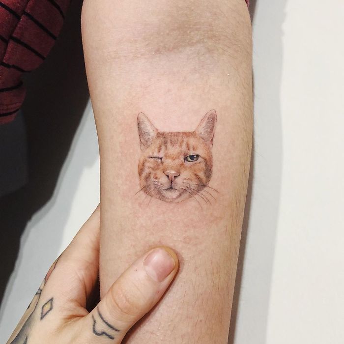 33 People Who Got Absolutely Awesome Cat Tattoos
