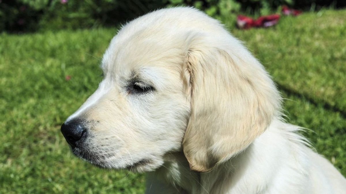 Student Protests That Changed History