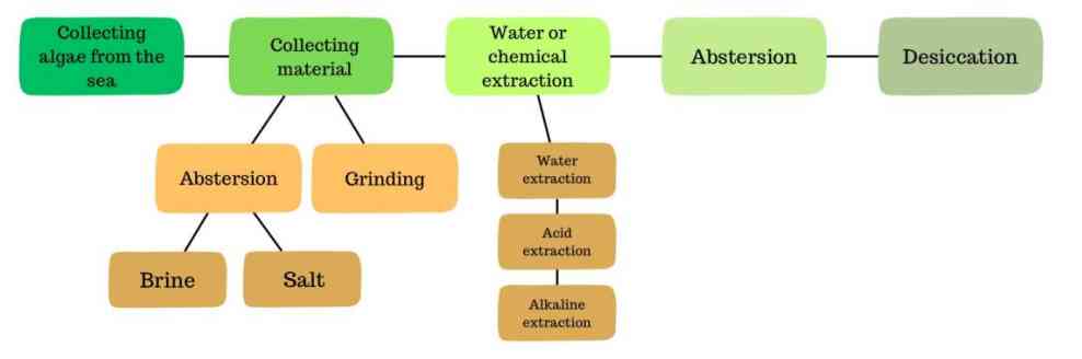 Gel Lautan (Chondrus crispus): Kandungan Aktif, Manfaat, dan Keamanan