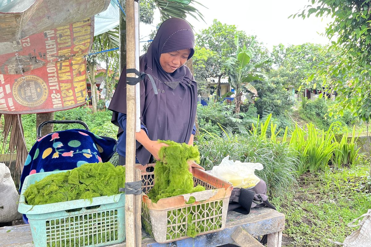 Desi Jual Lumut Sambil Asuh Anak, Senyuman Terbawa Rp 150 Ribu/Hari