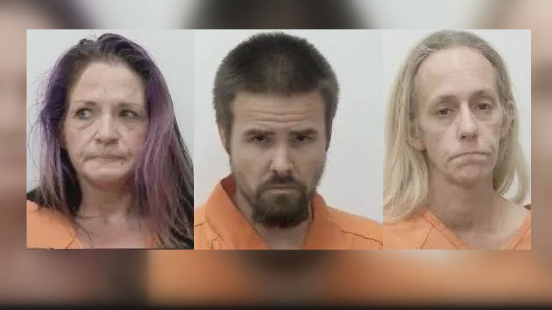 3 arrested in connection with drug bust at Herrin home