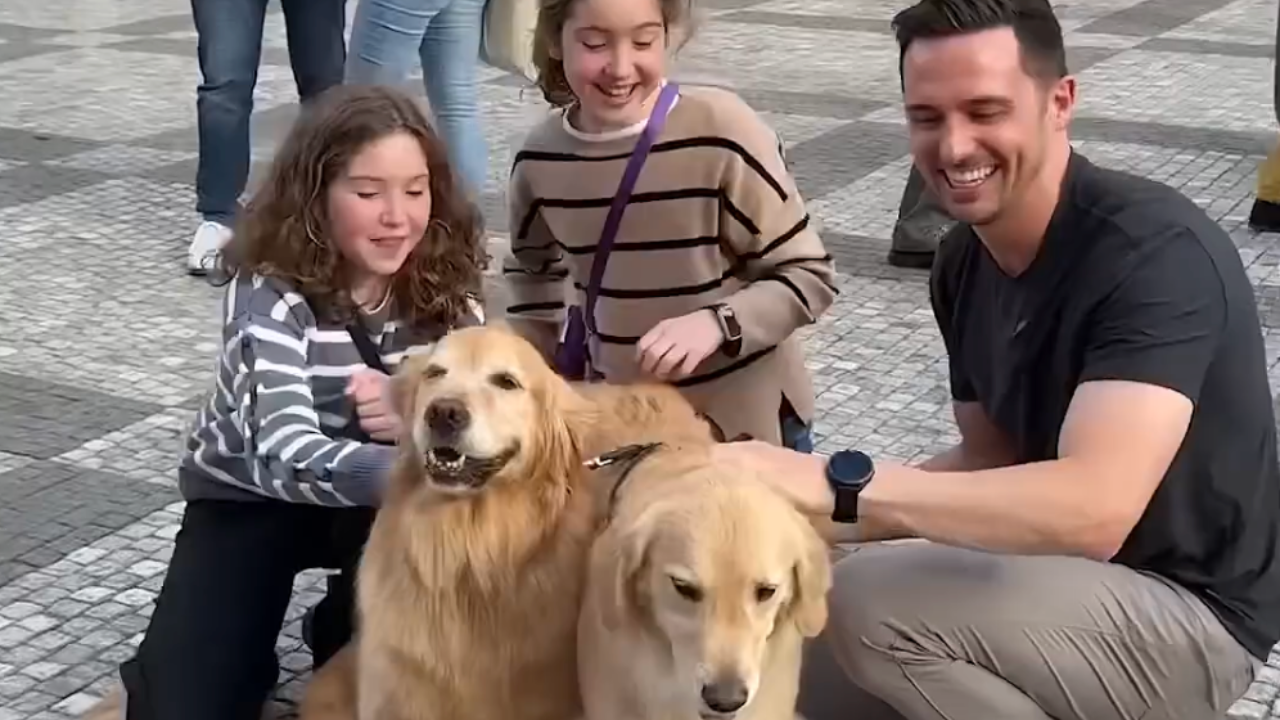 Why dogs speak the language of love everywhere
