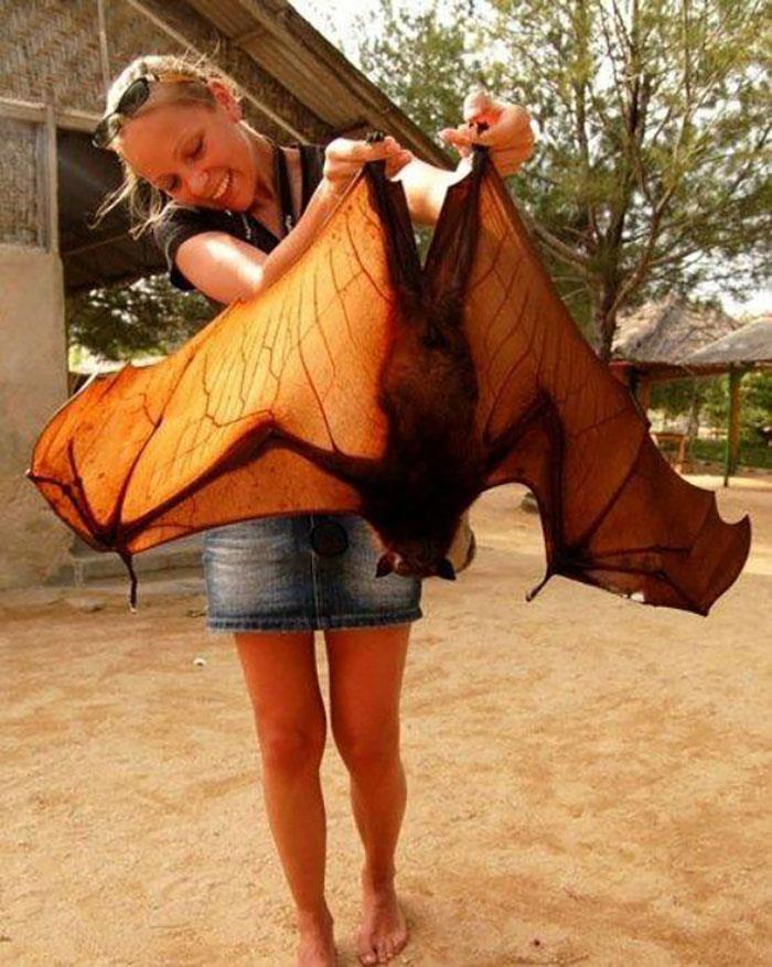 46 Photos To Remind Everyone That Many Animals Are Way Bigger Than Most Of Us Think