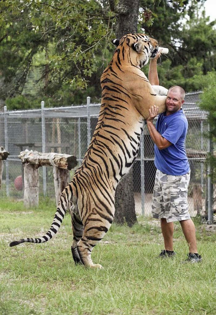46 Photos To Remind Everyone That Many Animals Are Way Bigger Than Most Of Us Think