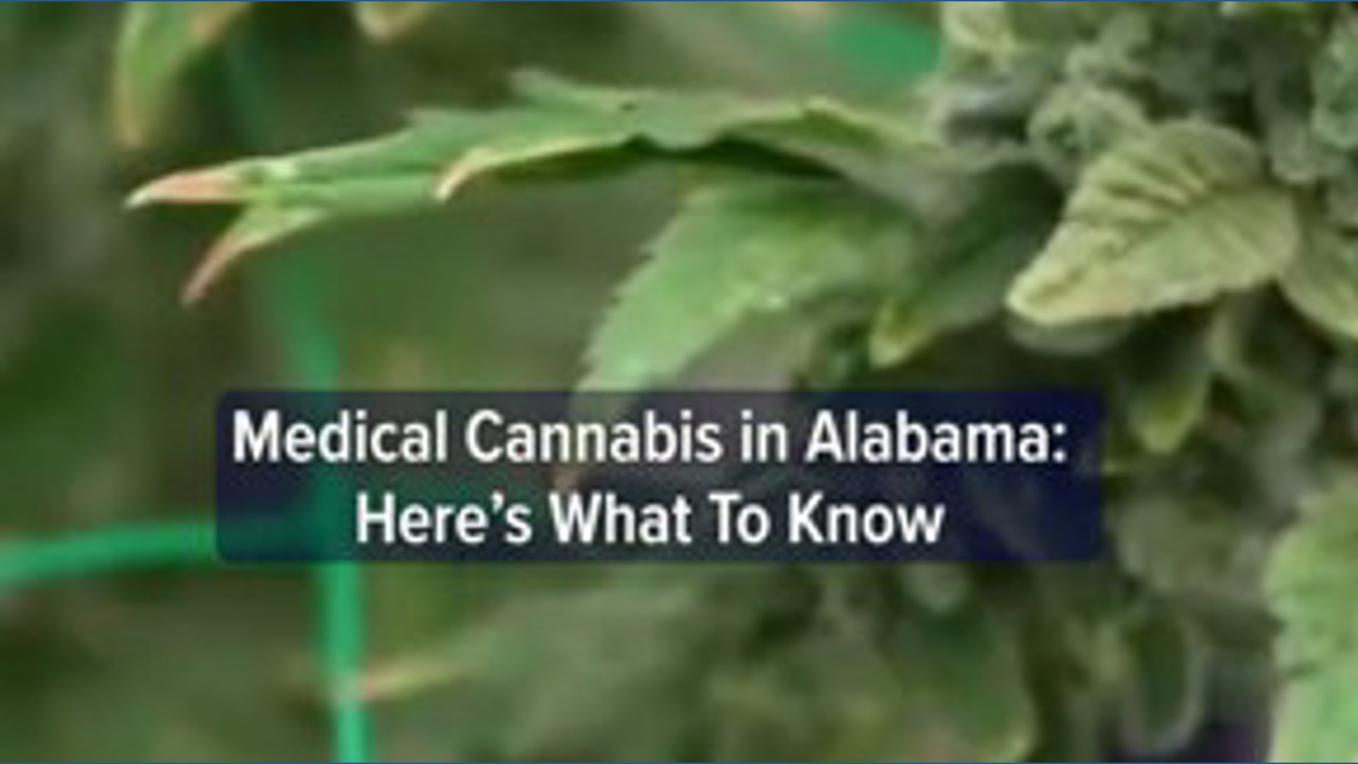 Medical cannabis in Alabama: Here's what you need to know