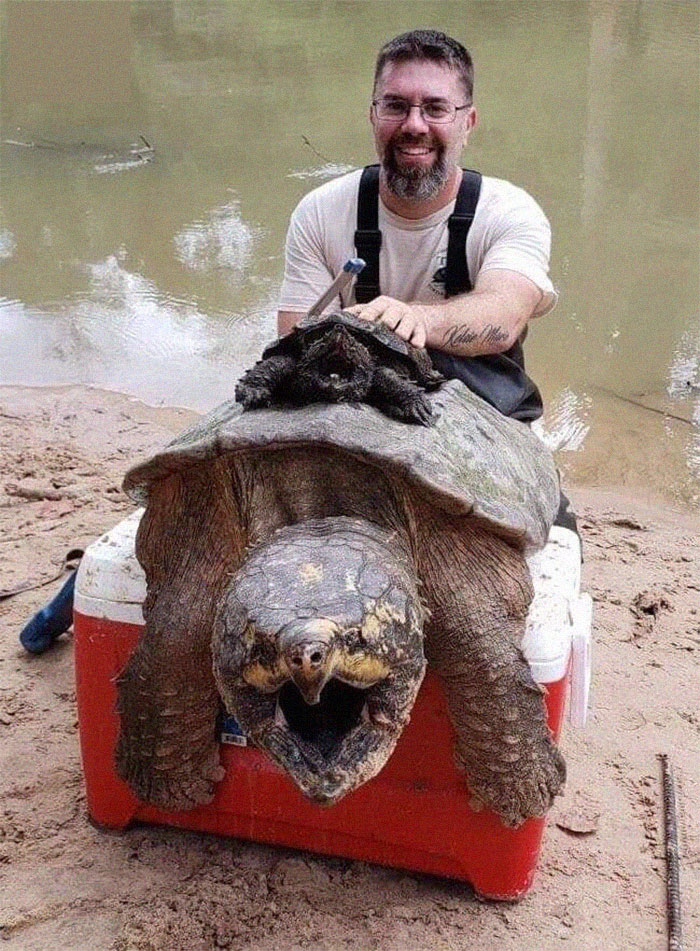 46 Photos To Remind Everyone That Many Animals Are Way Bigger Than Most Of Us Think