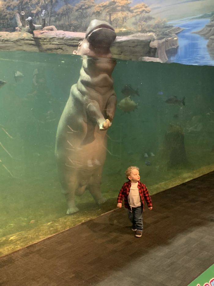 46 Photos To Remind Everyone That Many Animals Are Way Bigger Than Most Of Us Think