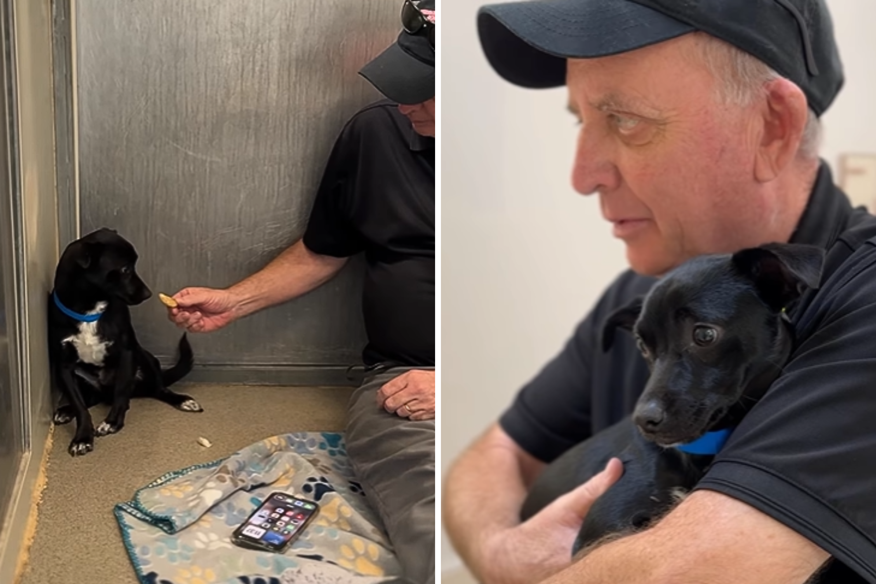 11-month-old puppy left at shelter with no info—then life changed forever