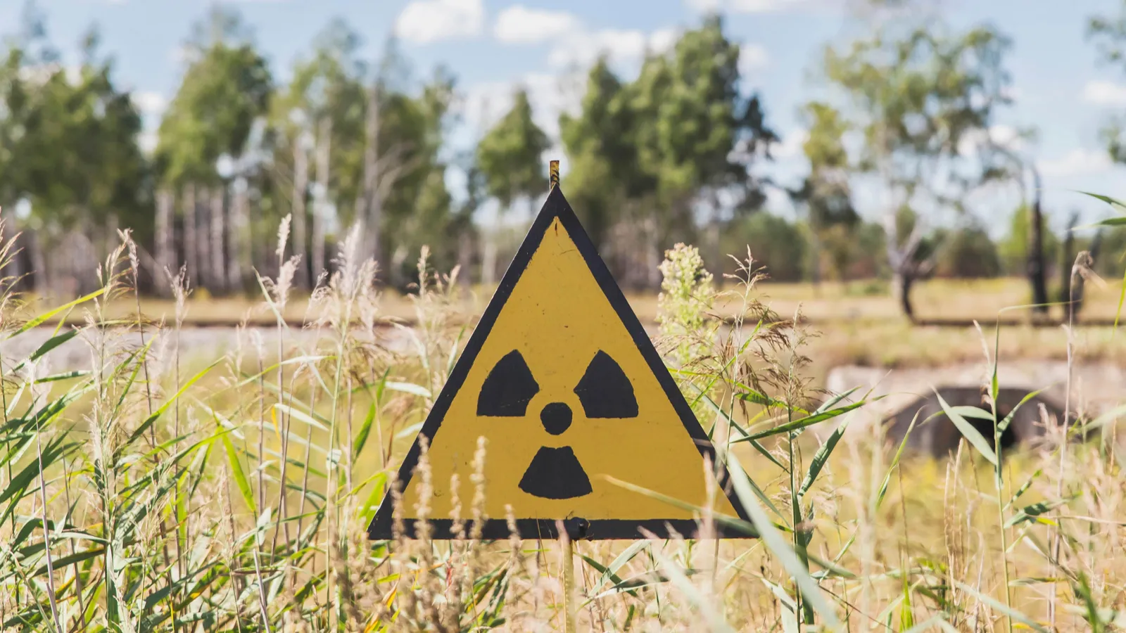 EV drivers gain clarity on EMF concerns after a 2025 German study