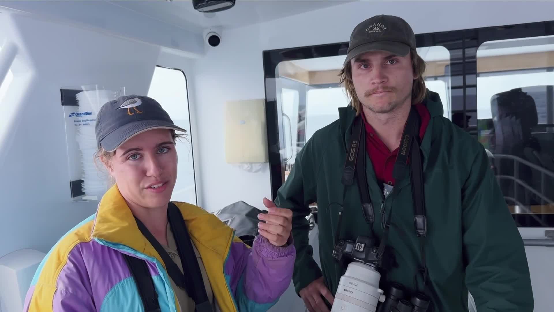 Gen Z track vulnerable bird species using Pokemon experience