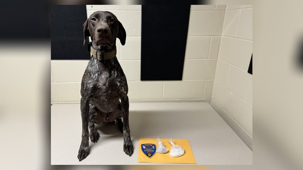 2 arrested after K9 detects drugs during traffic stop