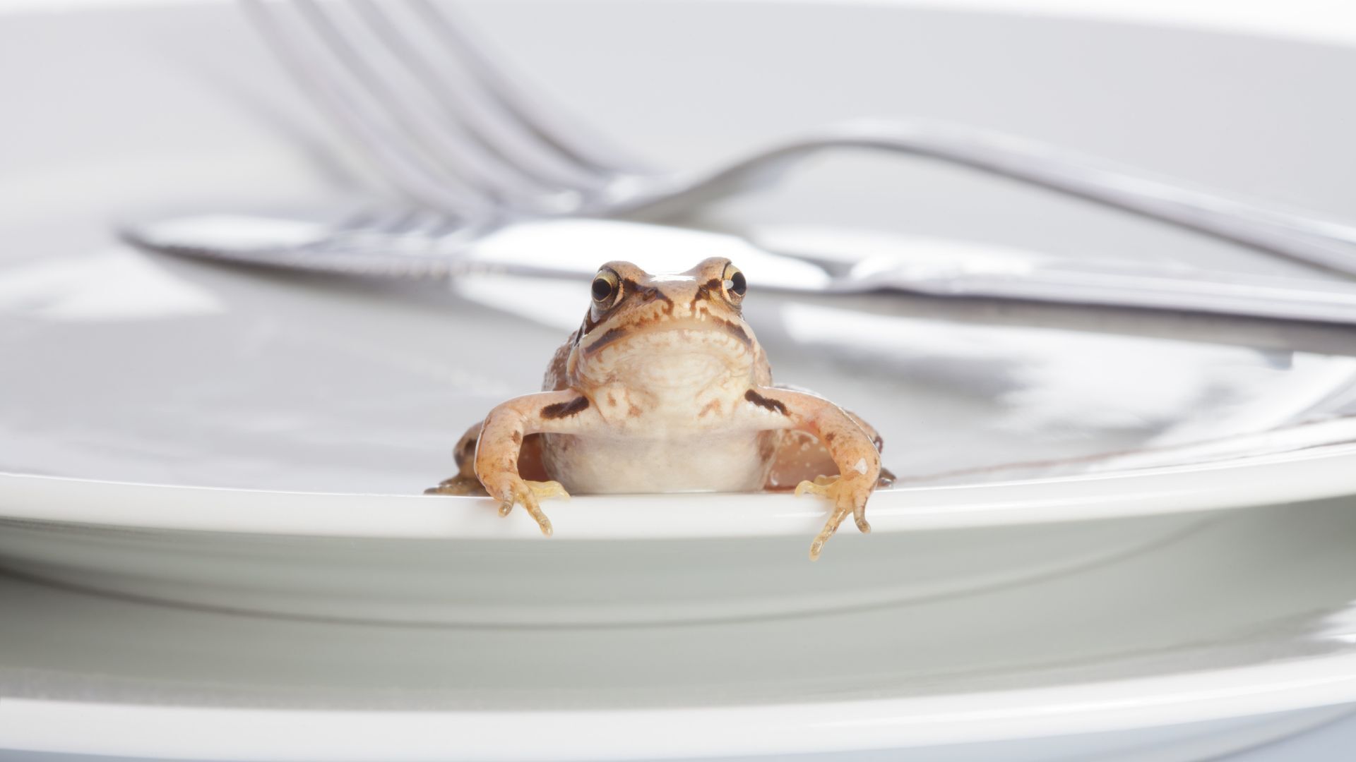 Instead of 'eating the frog,' use the 10-minute rule to be more productive
