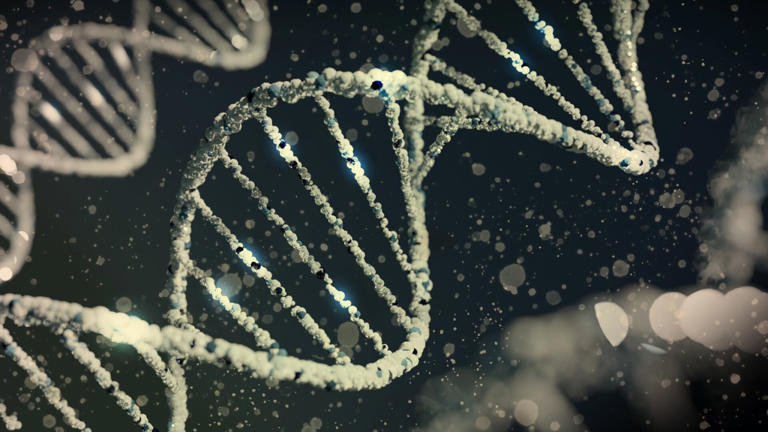 DNA testing event could help identify missing, murdered victims in ...