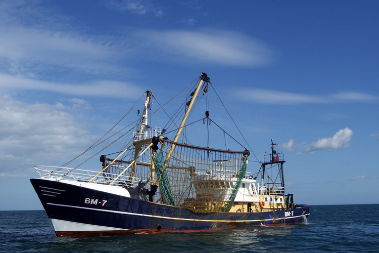 Rusia Serang Pelabuhan Ukraina, Target Kapal Feri Turki
