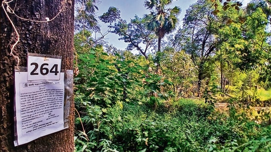 Saving Tapovan: NGT halts tree felling in Nashik till Jan 15